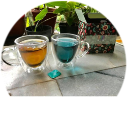 Double Wall Petite Cup