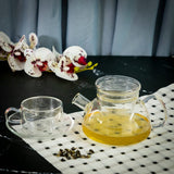 Stouty Glass Tea Pot with Filter (500 ml)