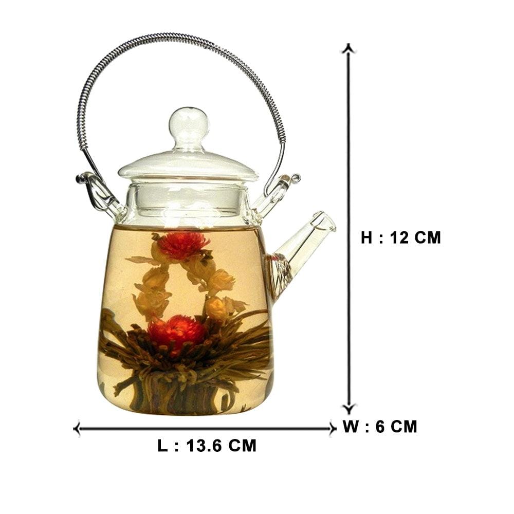 Personal Glass Tea Pot Jar with Filter (350 ml)