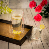 Double Wall Glass Shaker Infuser Bottle (550 ml)