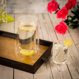 Double Wall Glass Shaker Infuser Bottle (550 ml)