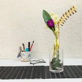 Xclusive Serrated Transparent White Bottle Styled Glass Vase