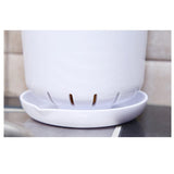 Cutlery Drainer & Organizer Kitchen Set (White and Green)