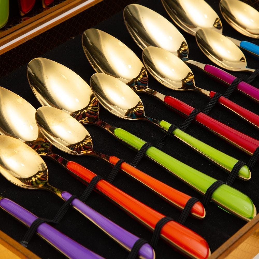 Magnifique 24 Piece Stainless Steel Cutlery Set in Classy Gift Box (Rainbow)