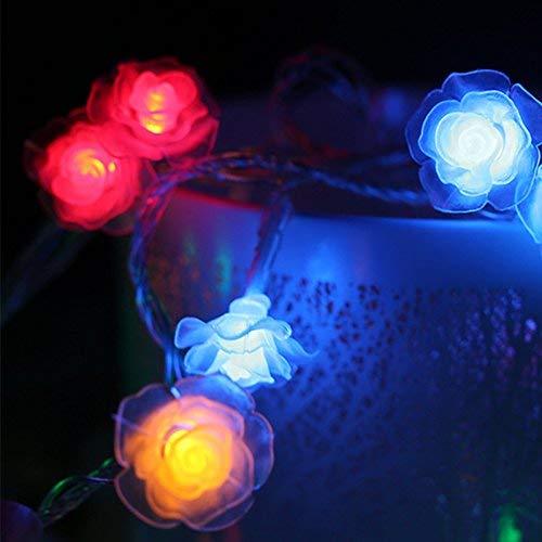 Flowers PE Light String with 20 White Flowers & Multicolor LED Lights (2.25 m)