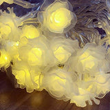 Flowers PE Light String with 20 White Flowers & Multicolor LED Lights (2.25 m)