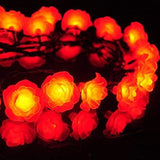 Flowers PE Light String with 20 White Flowers & Multicolor LED Lights (2.25 m)