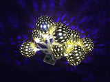 Morrocan Balls Metal Light String with 10 Golden Ball & White LED Lights (1.3 m)