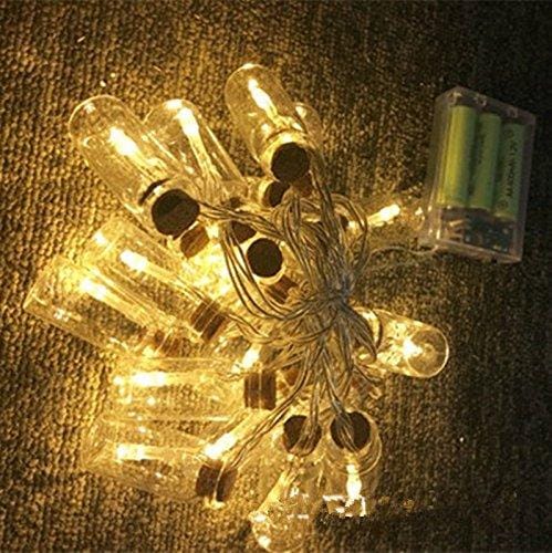 Glass Bottle Light Strings with 10 Bottle & Multicolor LED Lights (1.25 m)
