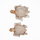 Decorative Pair of Auspicious Turtles (Antique Wood Brown with Silver Sparkles) Showpiece