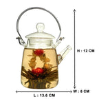 Personal Glass Tea Pot Jar with Filter (350 ml)